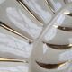 White and gold ceramic plate