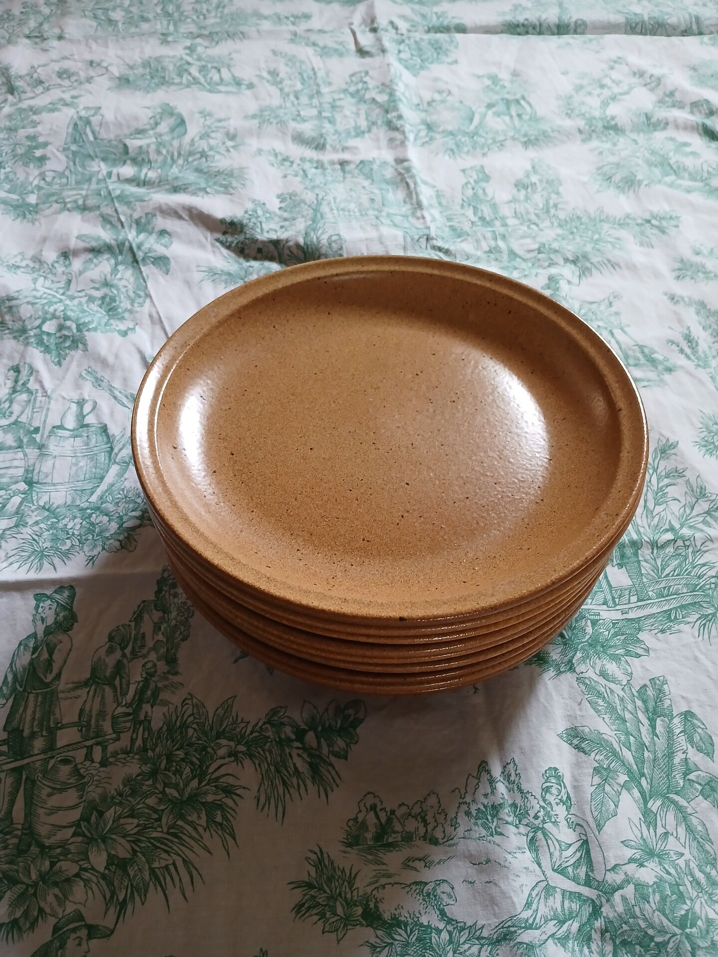 9 flat plates in Sarreguemines stoneware