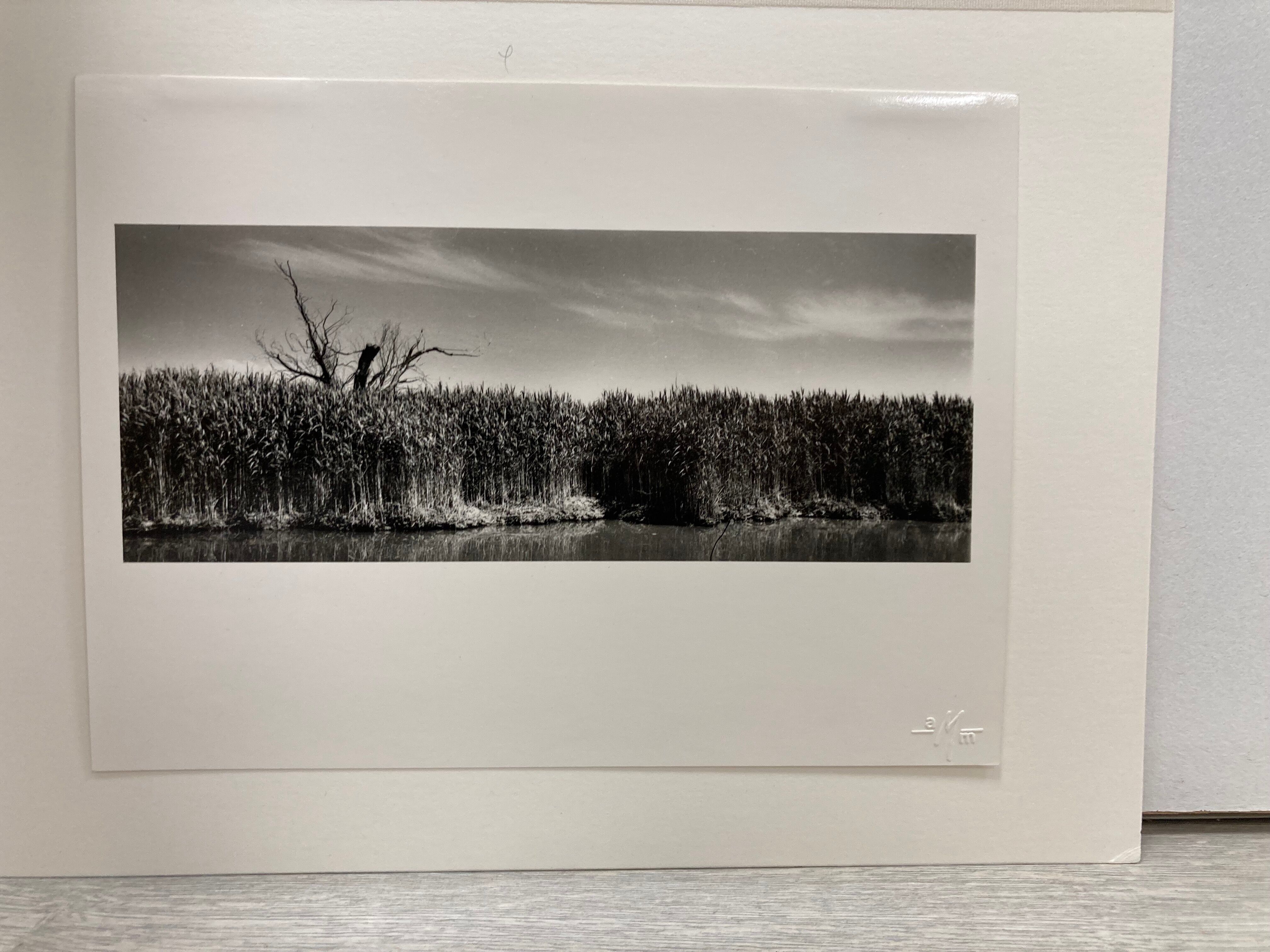 Film landscape photography
