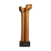 Biomorphic modernist sculpture in carved wood, Netherlands, 1970s