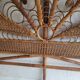 Peacock rattan headboard bed