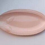 Fish slushie dish
