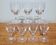 7 shot glasses