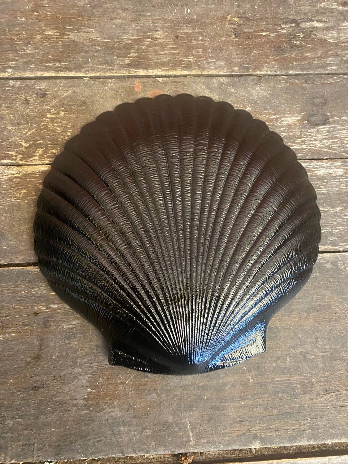 Set of 10 ARCOROC Shell-Shaped Plates Black Opaline 1970s