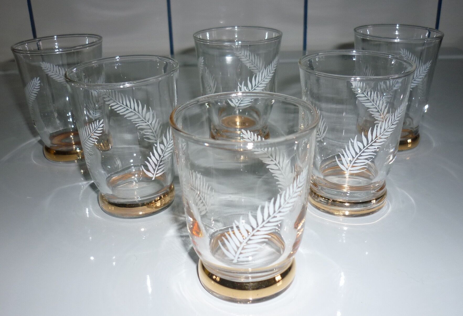 Glasses 6 decorations of ferns and gilding