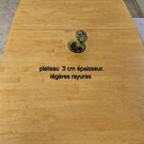 Venjakob designer extendable dining table