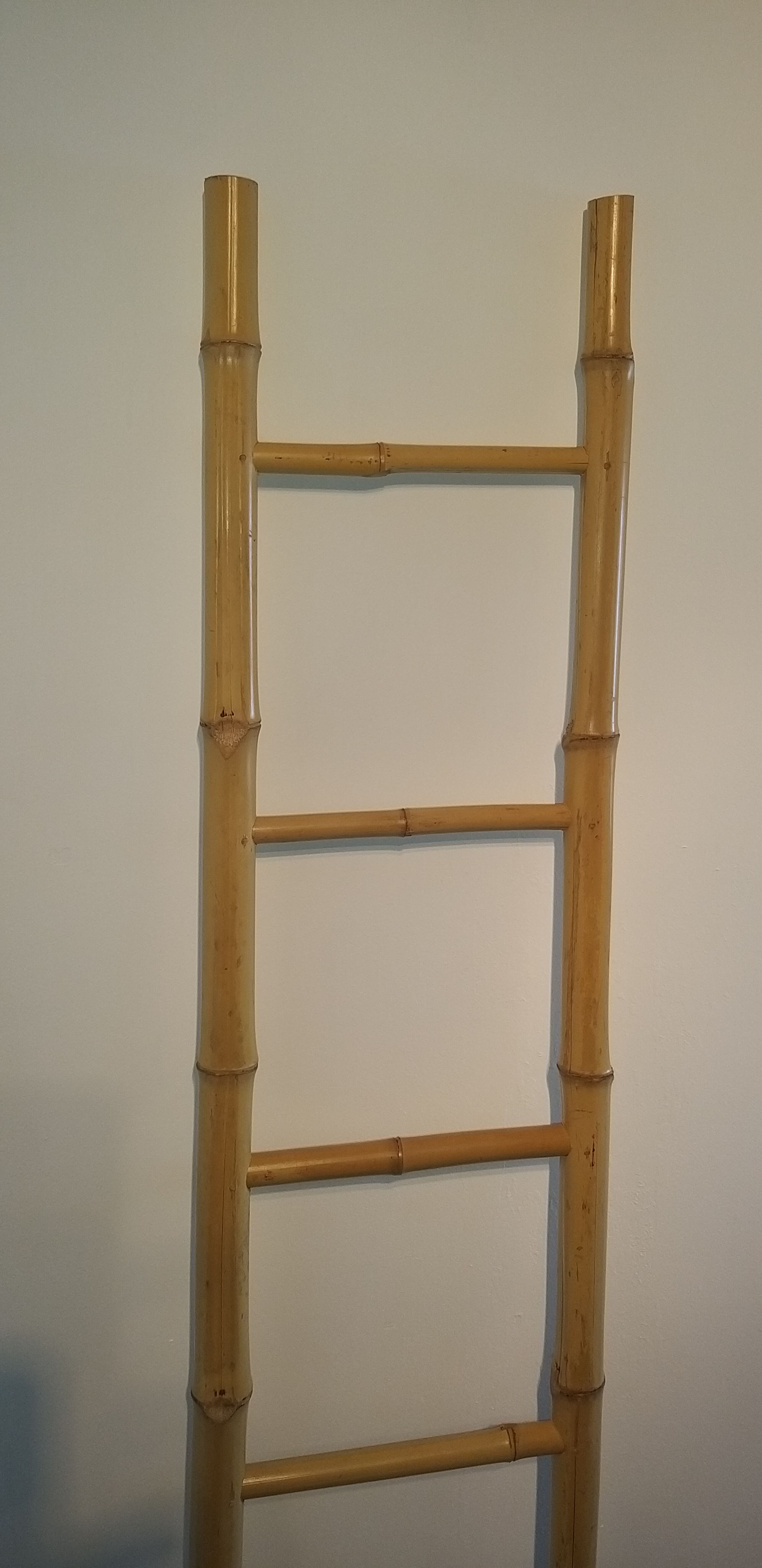 Bamboo ladder