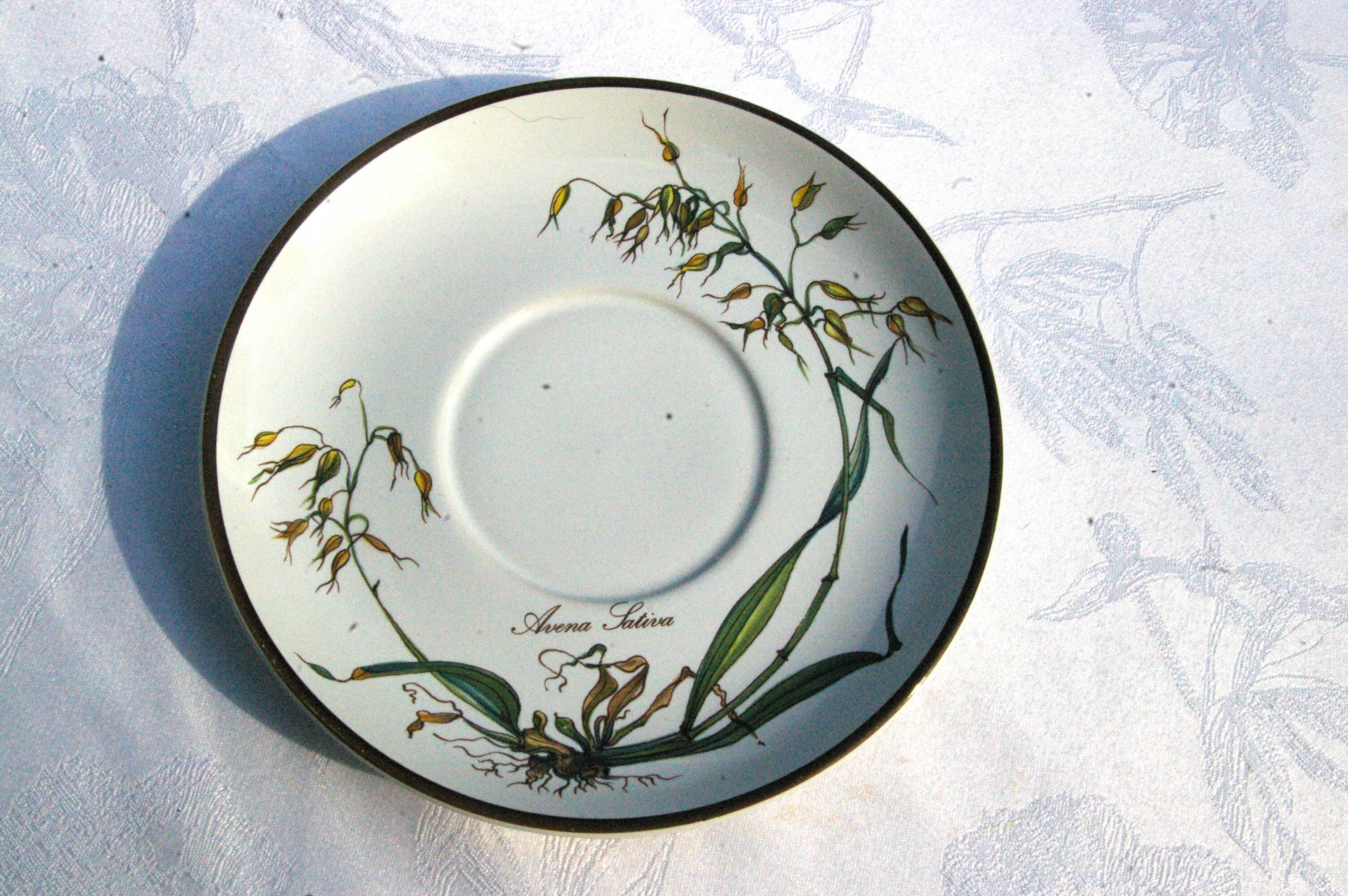Small Batch of dishes and saucer Villeroy & Boch model Botanica
