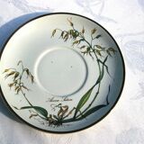 Small Batch of dishes and saucer Villeroy & Boch model Botanica