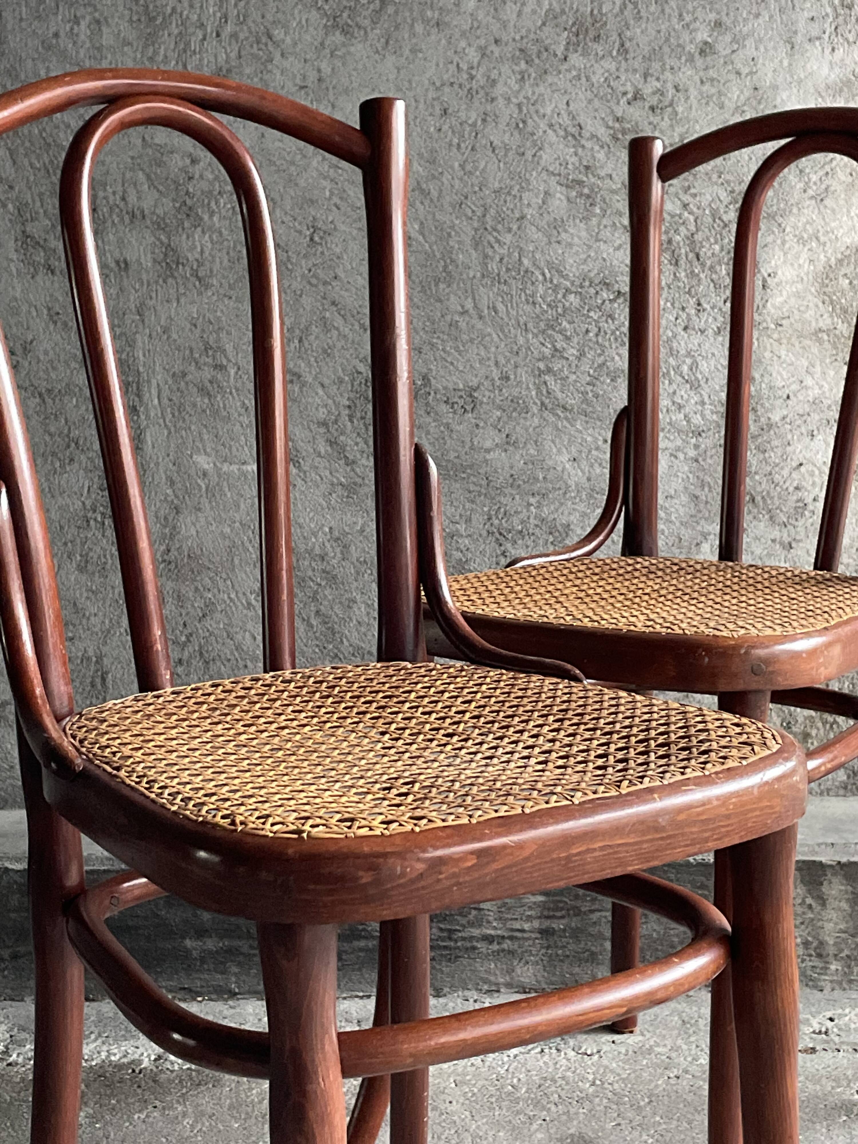 Pair of caned bistro chairs by Thonet