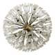 Dandelion Wall or Ceiling Lamp by Emil Stejnar for Rupert Nikoll