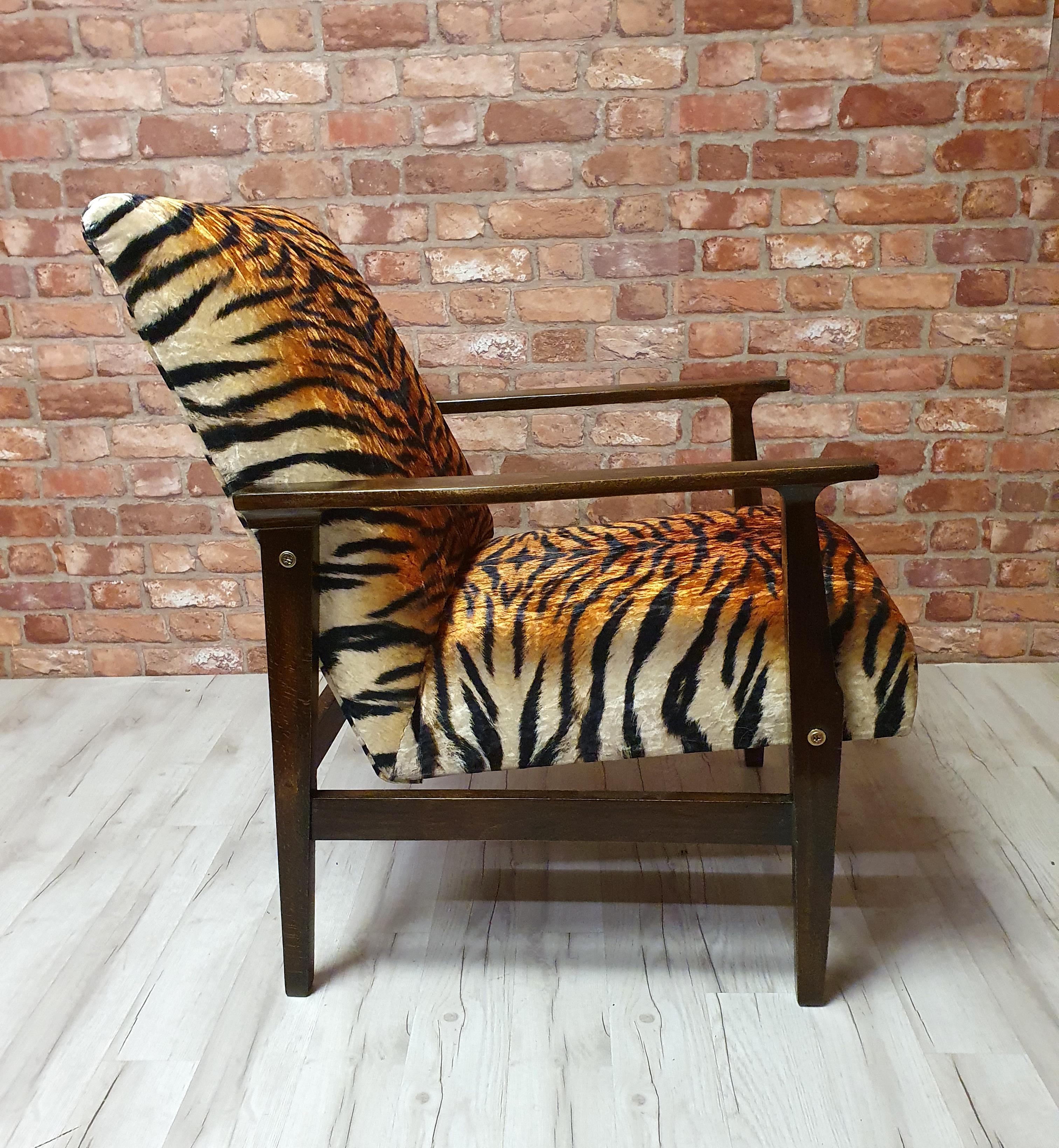 Renovated armchair BW-14, Tiger, Poland 1960s