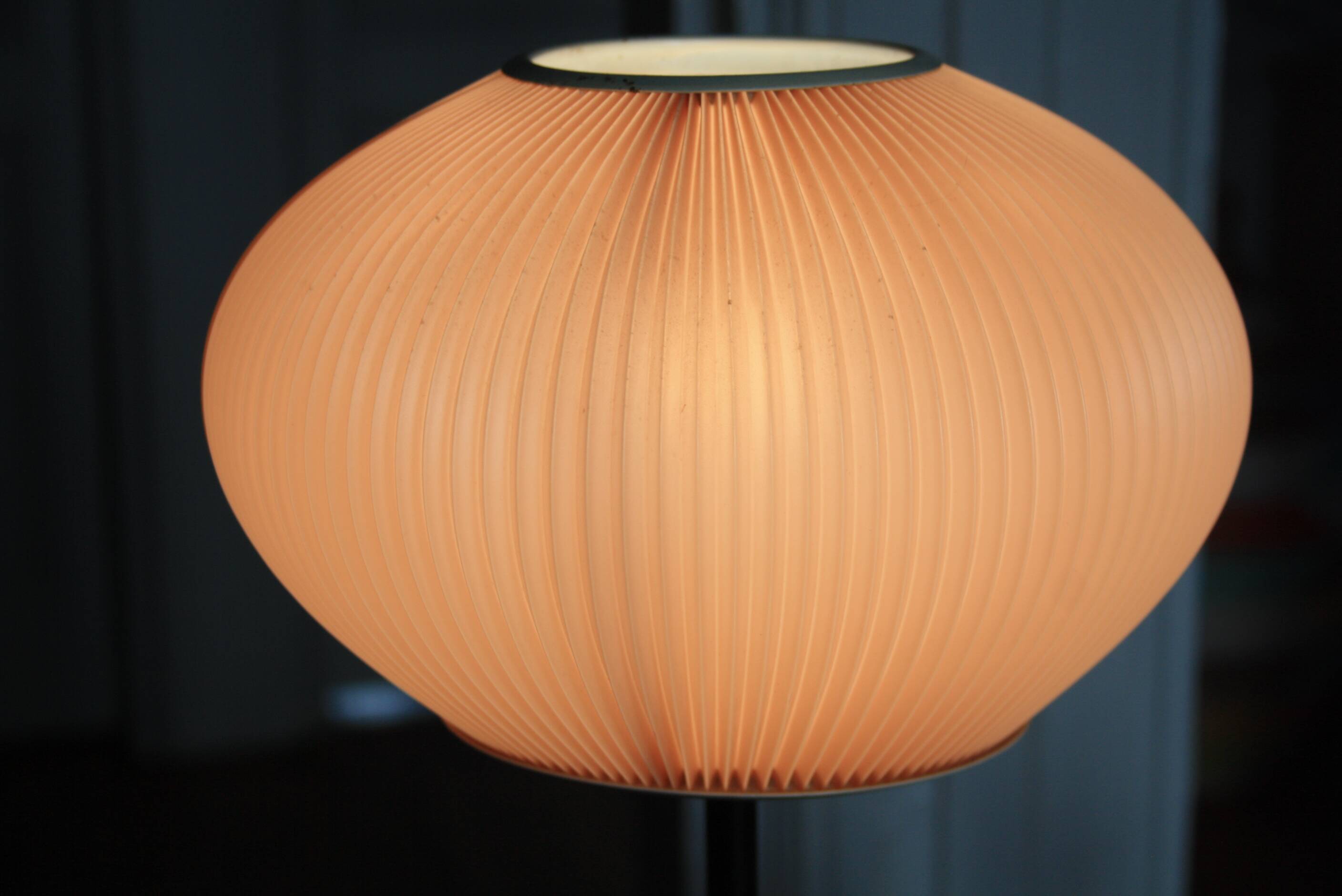 Rhodoid pleated lampshade