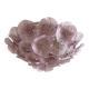 Contemporary Ametista Floral Glass Flush Mount