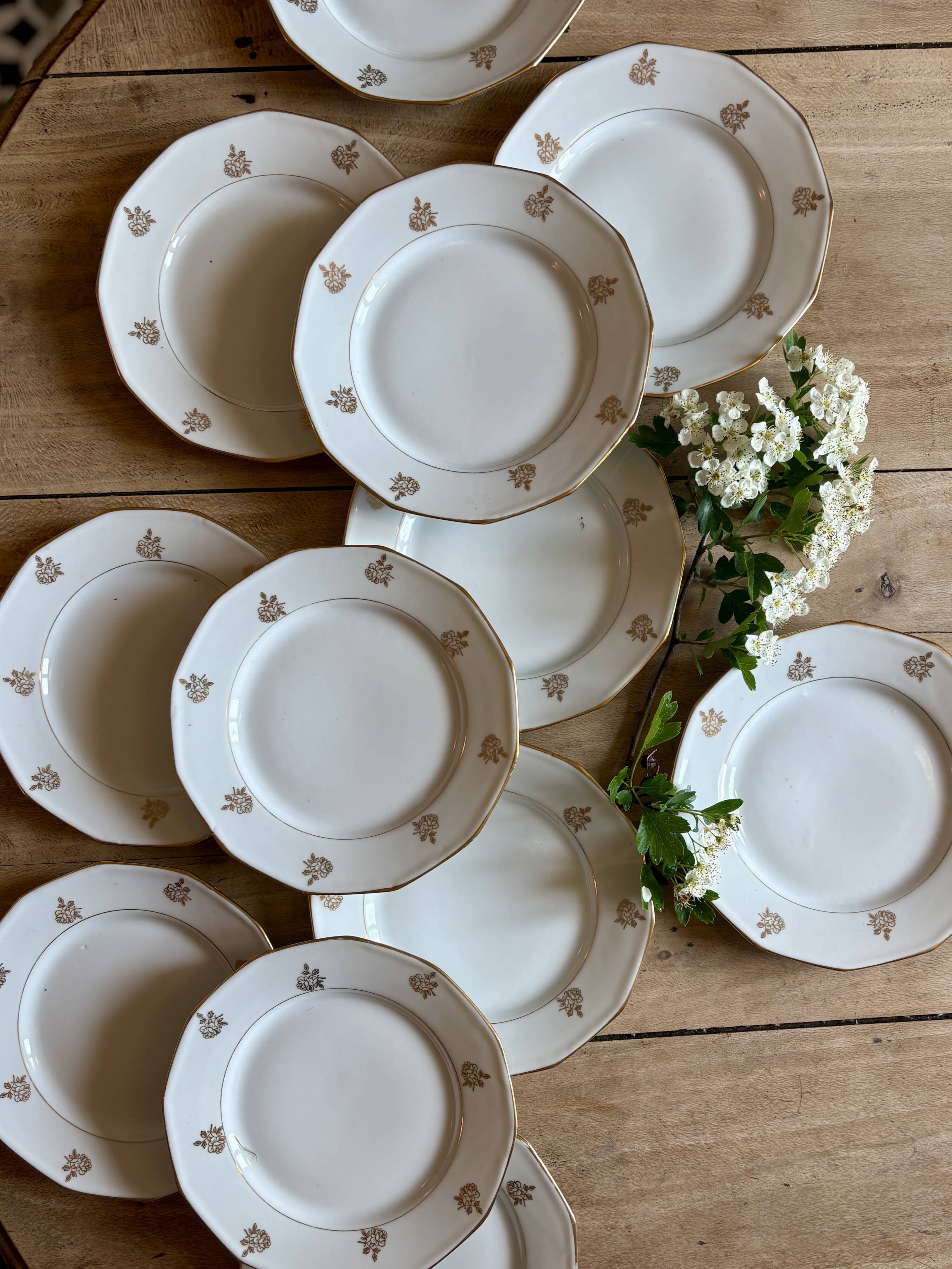 Lot de 12 assiettes à dessert vintage en porcelaine avec détails dorés