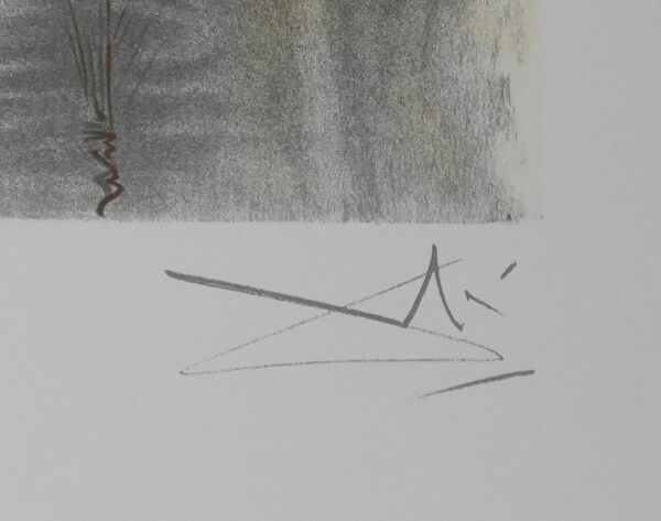 Salvador Dali : Les chevaux, le cheval de labeur, lithographie signée