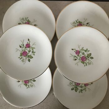 SERIES of 6 GIEN porcelain plates