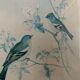 2 old John Gould illustrations