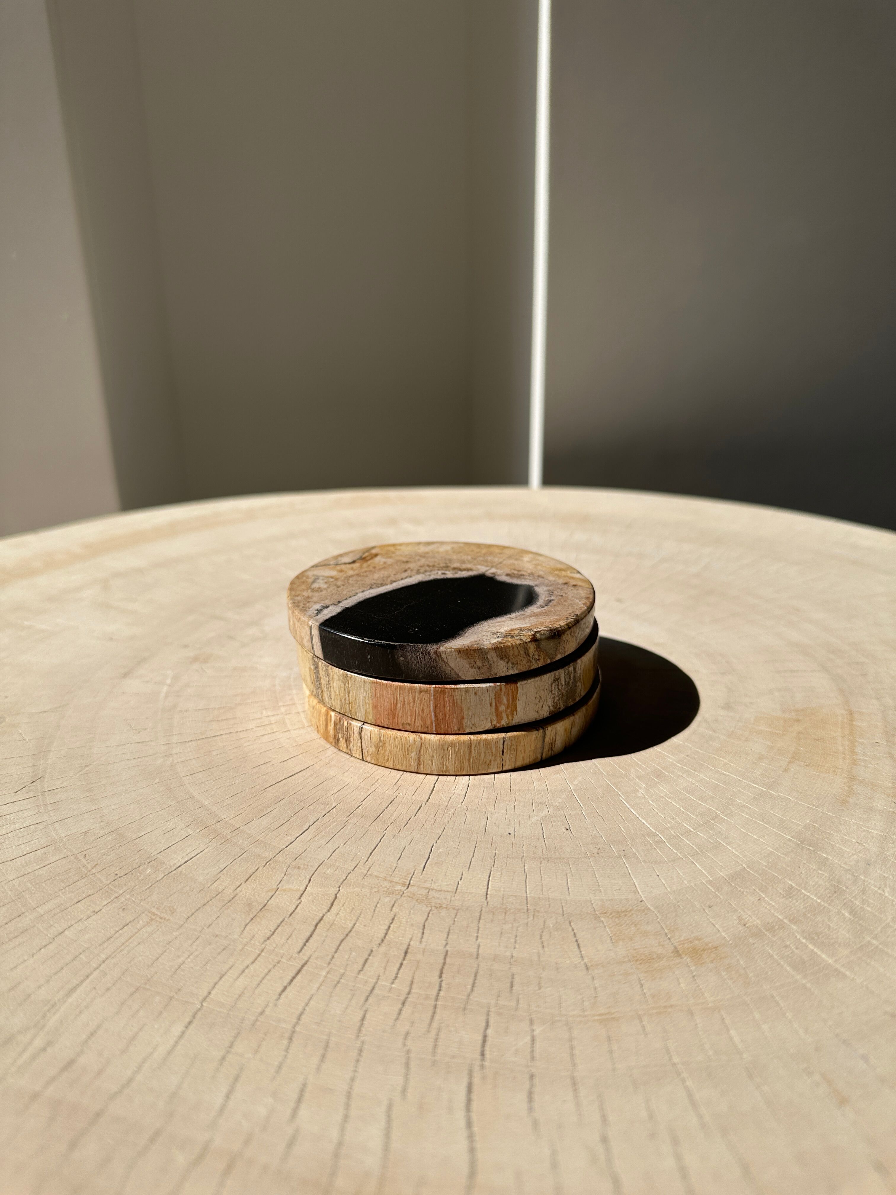 Set of 3 fossilized wooden coasters (clear)