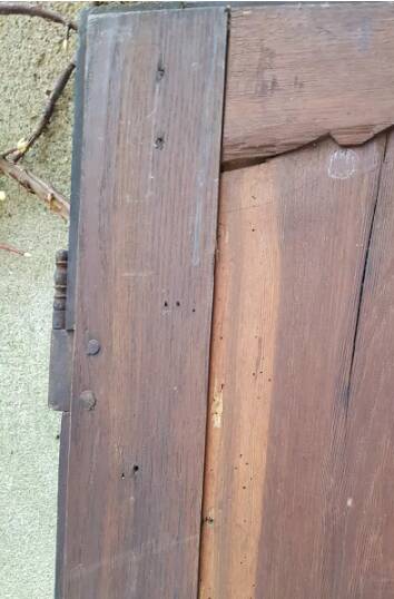 Antique double cupboard doors from the 19th century