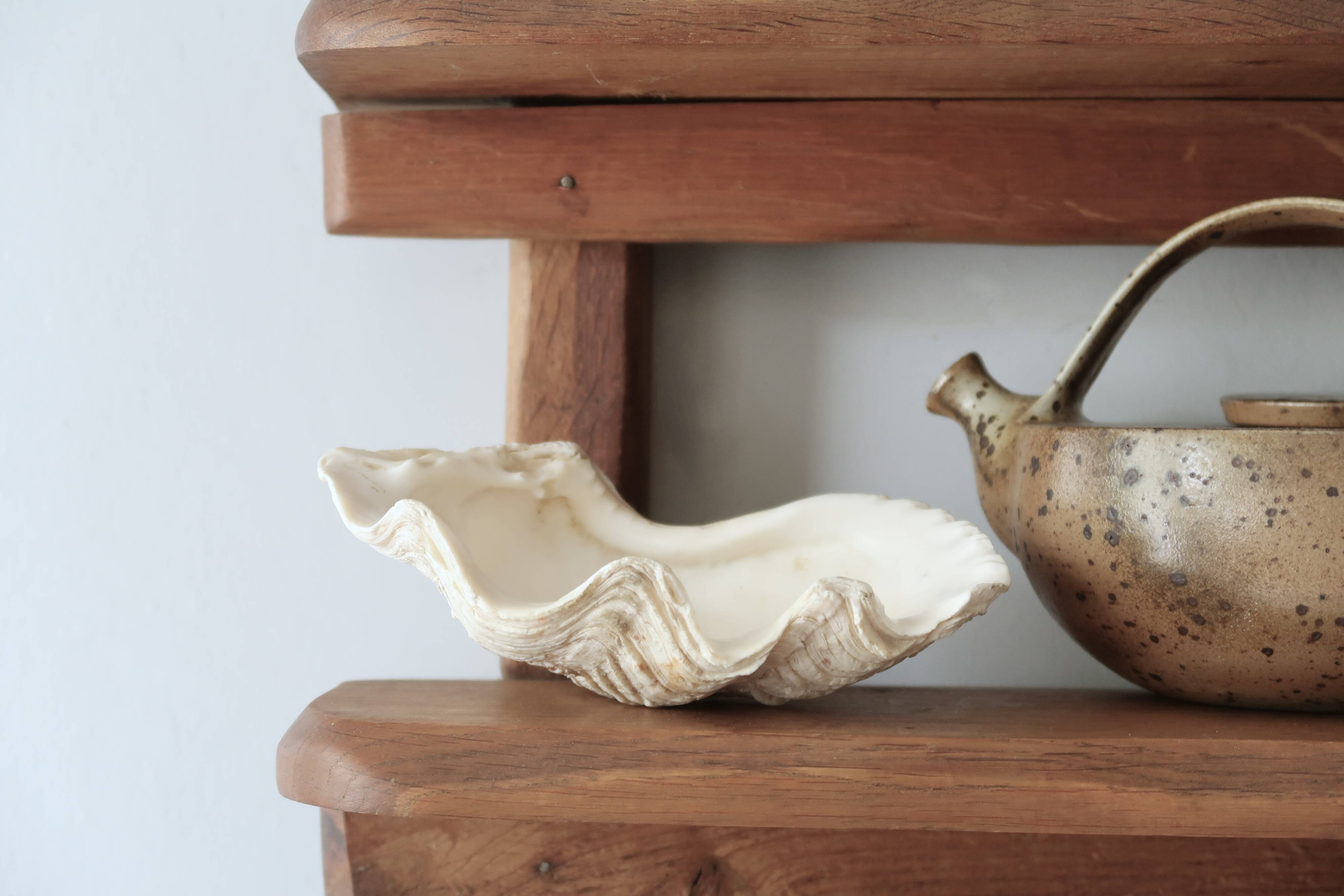 Vide poche coquillage bénitier, années 70