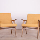 Fauteuils de ton, années 1960