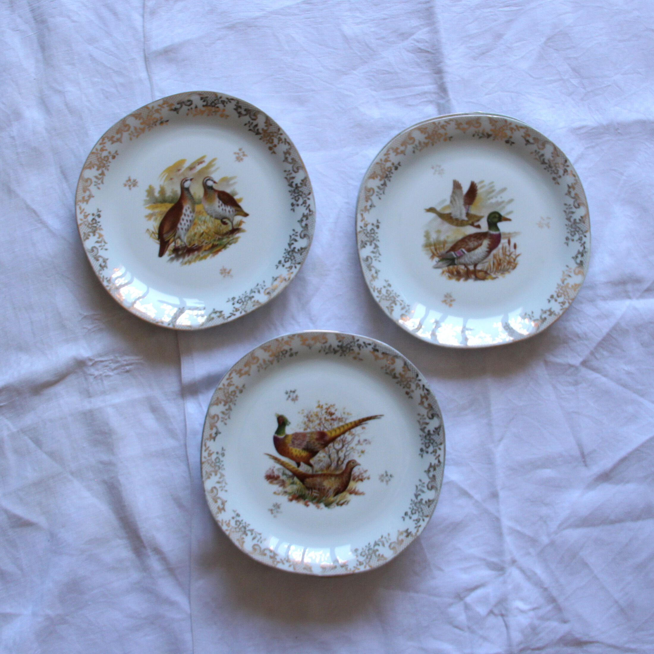 Set of 8 flat plates Limoges porcelain model duck pheasant partridge antique earthenware