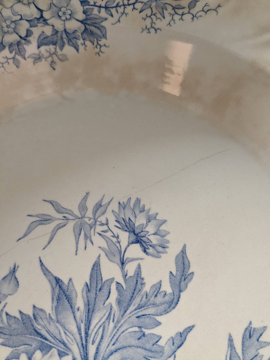 Dish Badonviller Summer