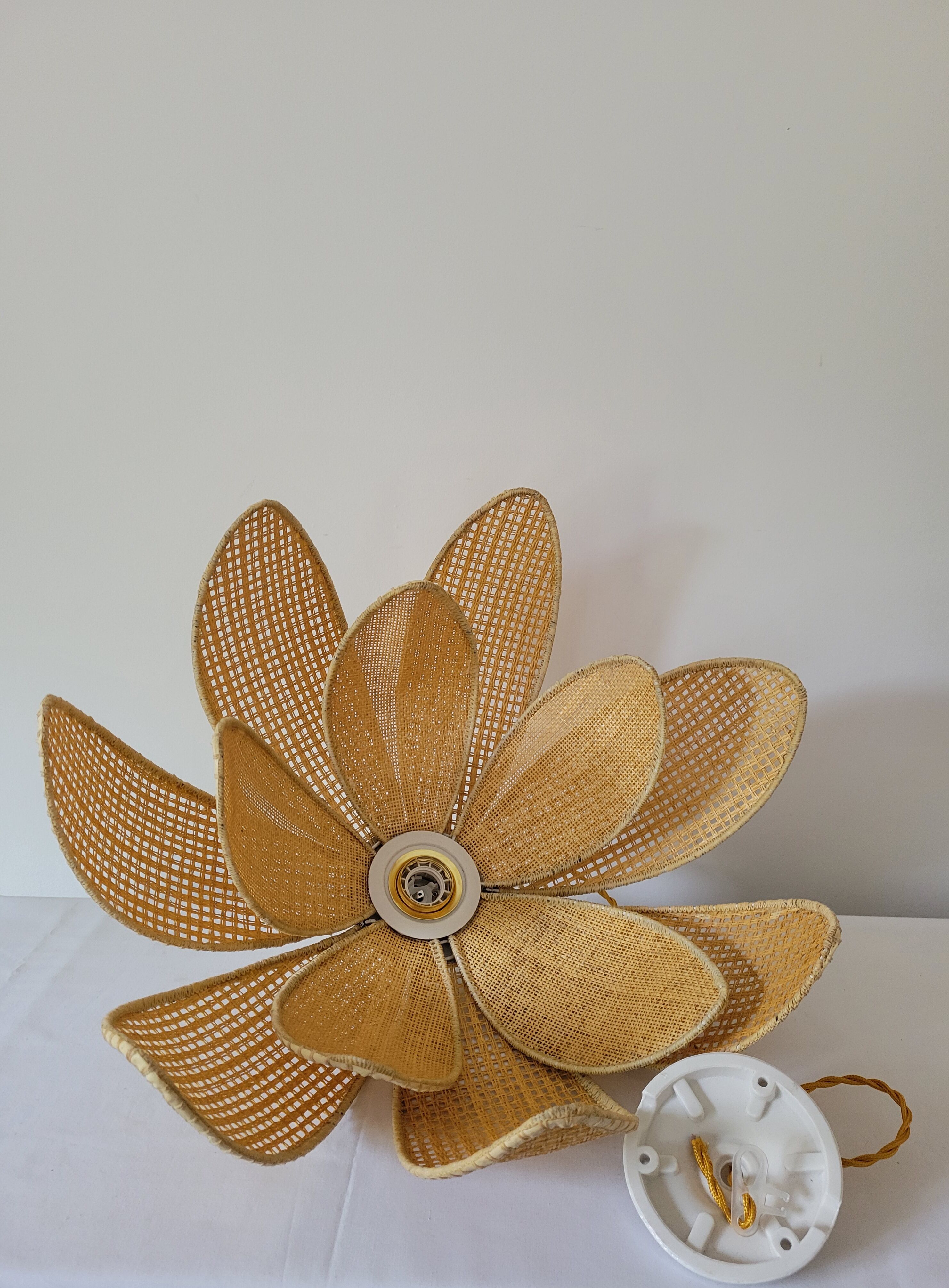 Rattan palm suspension and canning