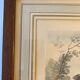 Old engraving, The Hunter after Carle Vernet 20th century
