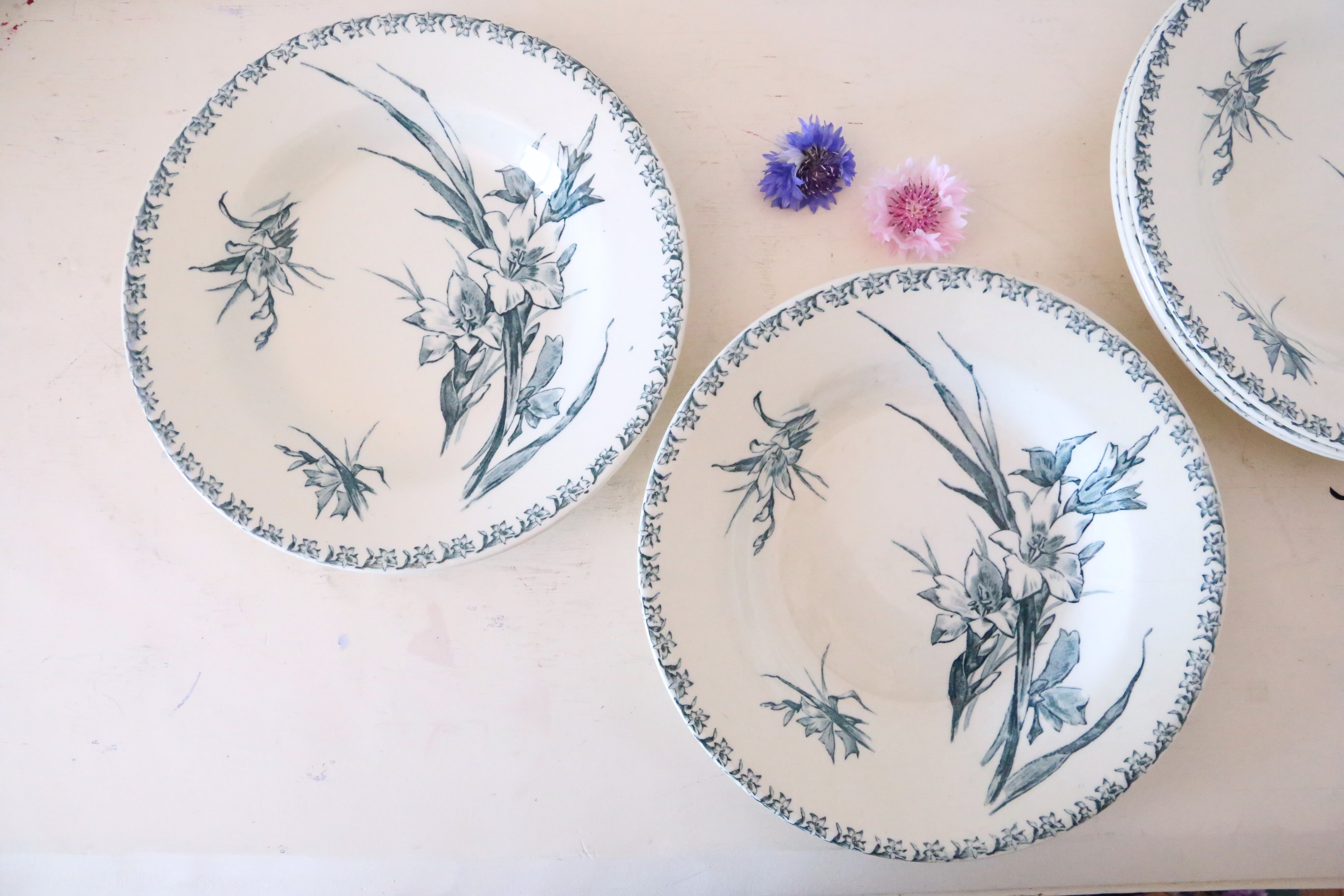 Hollow plates x5, Gien, Glaieul pattern, iron earth