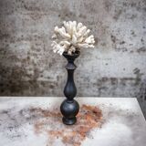 Coral on base