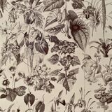 Lithograph on flowers (trees and shrubs) - 1920