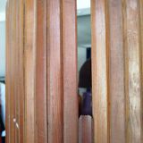 Baumann screen