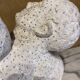 Bust of a man, plaster study