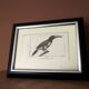 Small bird engraving from 1830 - Le Grigri - ornithological plate