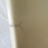 Set of 4 DCW fiber glass chairs