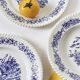 16 illustrated plates
