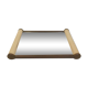 Mirror tray