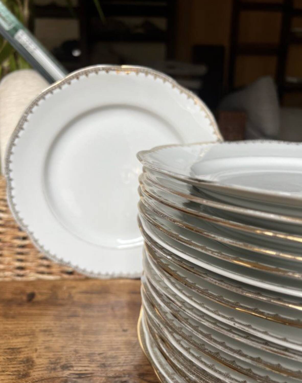 Set of 18 dinner plates - Pommier Dureil 72 - L'Étoile Splend Porcelain