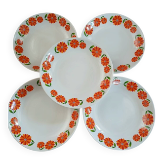 5 vintage deep plates Moulin des Loups