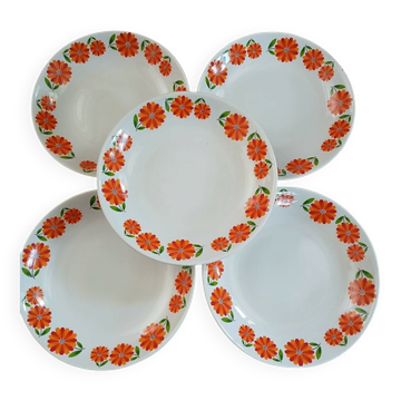 5 assiettes creuses vintages Moulin des Loups