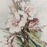 Aquarelle aux liserons