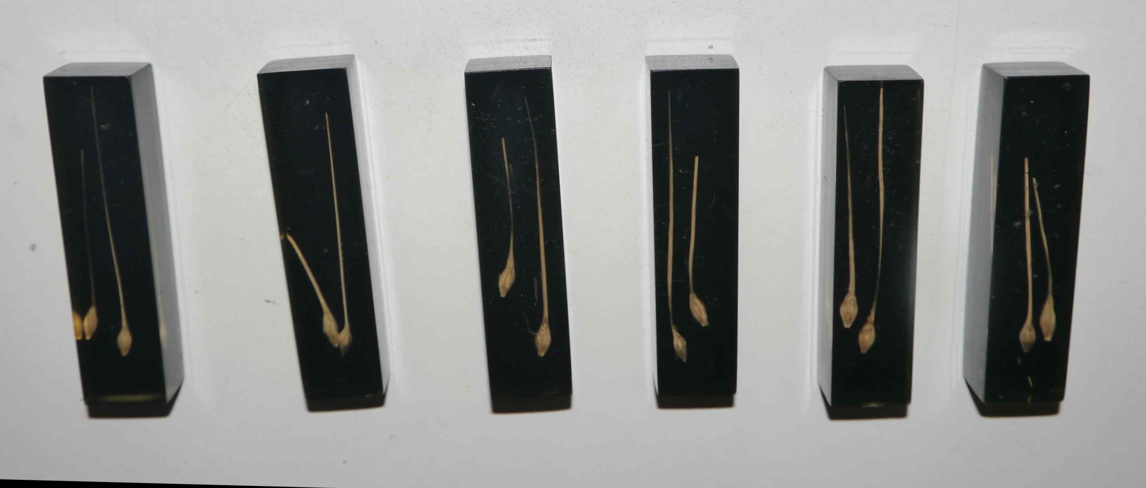 Service of 6 resin knife holders and inclusion 60's years