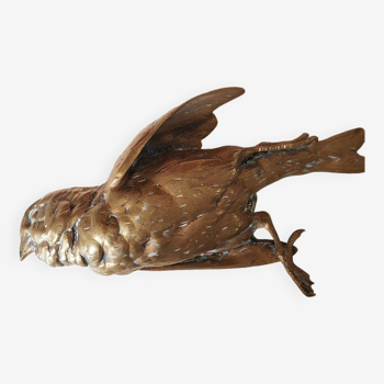 Bronze sparrow Comolera