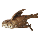 Bronze moineau Comolera
