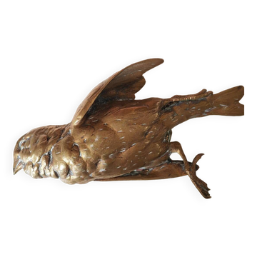 Bronze moineau Comolera