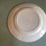 Ancient plate nests and birds