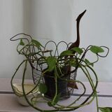 Salad basket