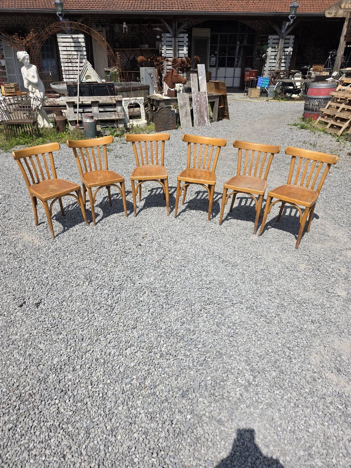 6 Luterma curved wooden bistro chairs